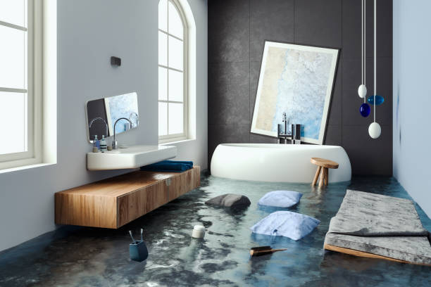 Best Carpet water damage restoration  in Stafford Courthouse, VA