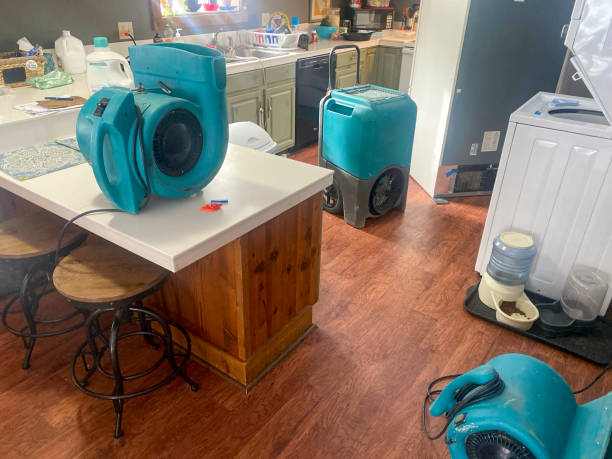 Water damage restoration process in VA