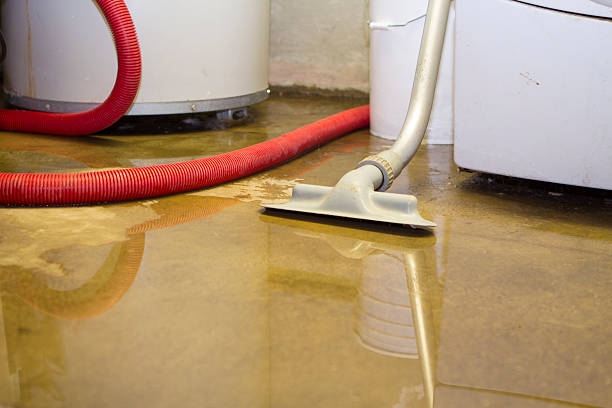 Best 24/7 water damage repair  in Stafford Courthouse, VA