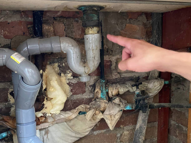 Best Water damage restoration process  in Stafford Courthouse, VA