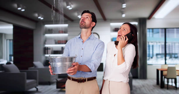 Best Water damage restoration experts  in Stafford Courthouse, VA